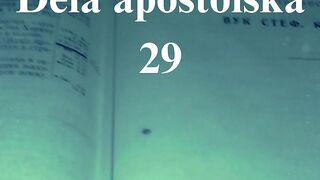 Dela apostolska 29
