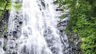 Beautiful nature 308