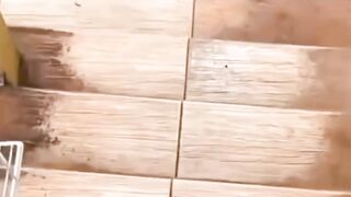 habis ribut bang???? - Tigerasia88