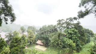 A Peaceful Rainy Day Overlooking a Lush Tropical Village and Garden Landscape.