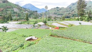 Breathtaking Dieng Wonosobo Highland Farms | Majestic Mountain Village & Terraced Fields ????️
