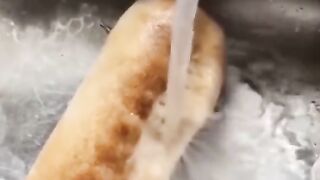 The Most Illegal Kitchen Activity Ever Witnessed