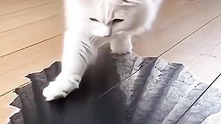 Why don't you fall?