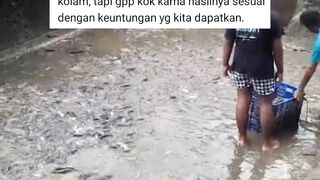 Jangan budidaya lele dikolam tanah jika takut kotor