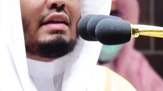 Beautiful Quran Recitation 17