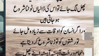 slamic Learning 786 #quran #quotes #islamicstoriesinurduandhindi #hazratali #kaba #love
