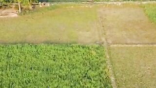 Drone prank