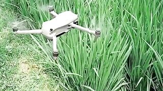 Funny dron prank