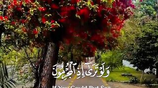 Quran paak Tilawat Must watch