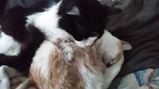 Minnie Mou behaving strangely.