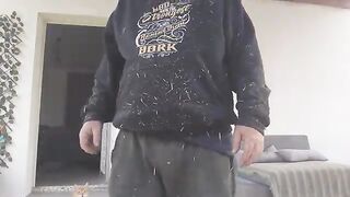 More Work at the Catnip Hall Cat Sanctuary