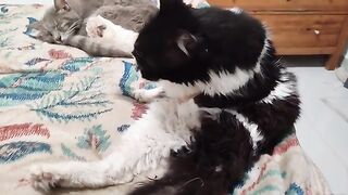Minnie Mou carries on as normal