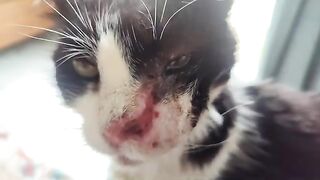 My Girl Minnie Mou needs a miracle