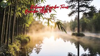 Relaxing Bamboo Tunes - Bamboo Flute Soothes the Heart