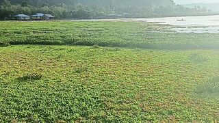 Pemandangan Danau