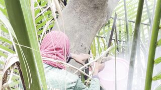 মধু সংগ্রহ