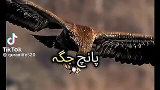 Videos 60