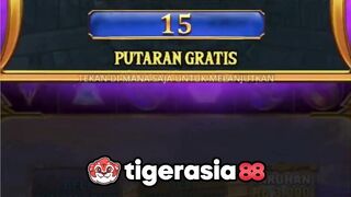 kakek masih yang terbaik - Tigerasia88
