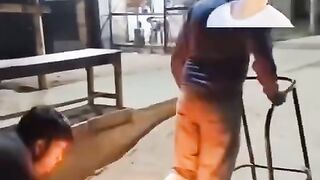 Funny videos