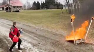Funny videos
