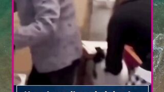 kejahilan anjing