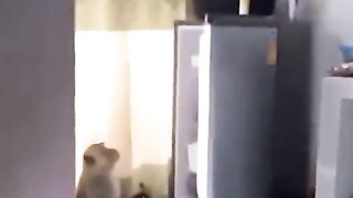 This is the most casual robbery in human history, wait for the end! #Meme