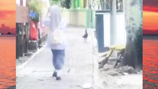 nah kan di kejar