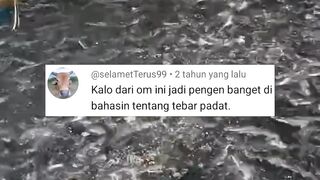 Mau tau rahasia tebar padat agar panen maksimal❗