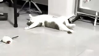 Sleep my joy!