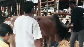 ঈদ মোবারক 3