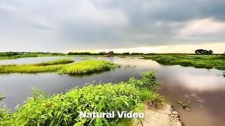বৃষ্টি আসার আগ মুহূর্তে