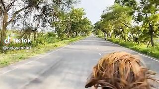 Video 662
