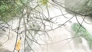 ঝর্ণা