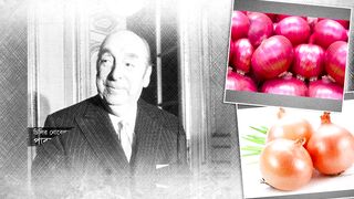 Summer Onion