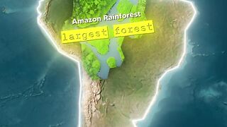 The terrible mystery of the Amazon ????