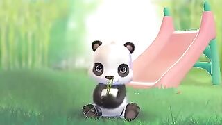 Cuta Panda
