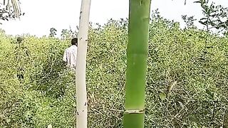 লেবু চুরি করে মনে হয়