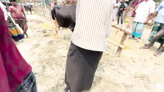 গরুর দা*লা*ল????