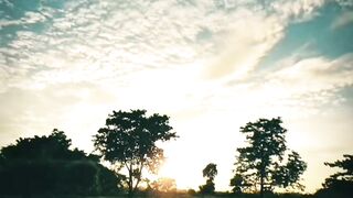 Status Video 7