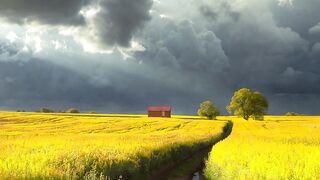 Beautiful nurture video