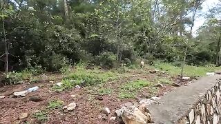Leo the cat who had just woken up, came slowly through the forest