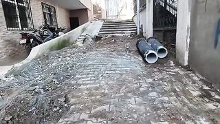 Stray Cat 2