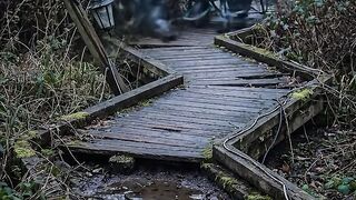 INSANE ROAD OF WOOD