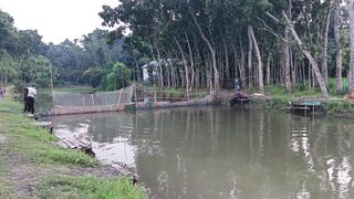 গ্রামের বিলের বিকালের একটি দৃশ্য