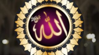 Sokol muslim vai der salam