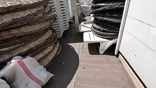 Of the two cats on the beach, one is so friendly, while the other is a little timid