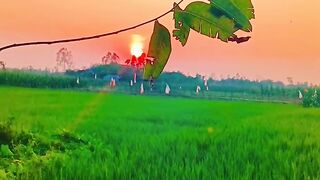 আল্লাহকে ভয় করো