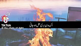 Nusrat 11
