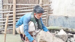 Funny videos