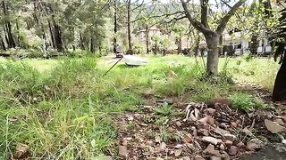 The cross eyed cat came running through the forest and began to knead